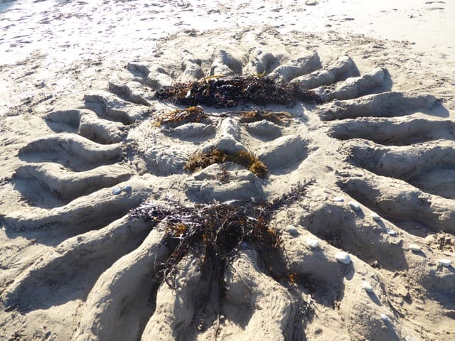 Sand Castle Creations - Winter Beach Trips