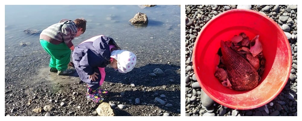 Winter Beach Trips