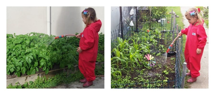creating-vegetable-garden-with-kids