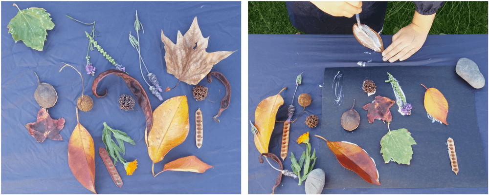 Creating Nature Art with Kids