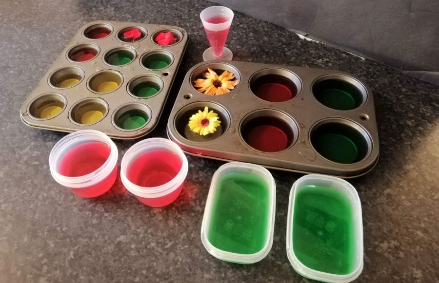 Making Coloured Ice Sculptures With Kids: fill moulds with coloured water