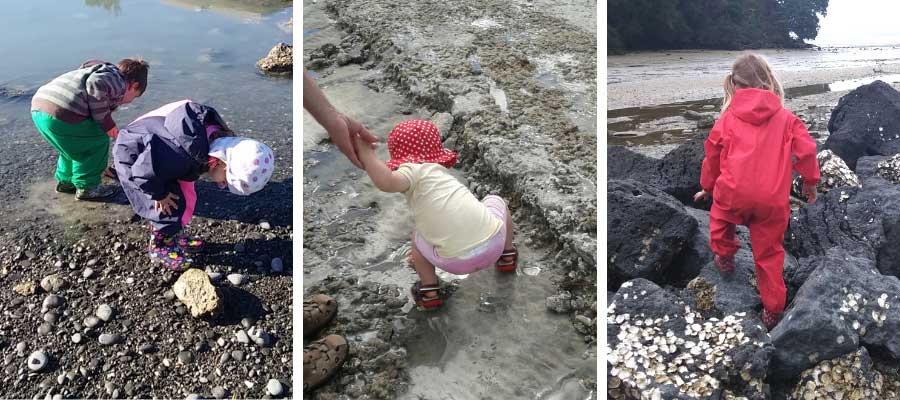 Rocky Shore Activities for Younger Children