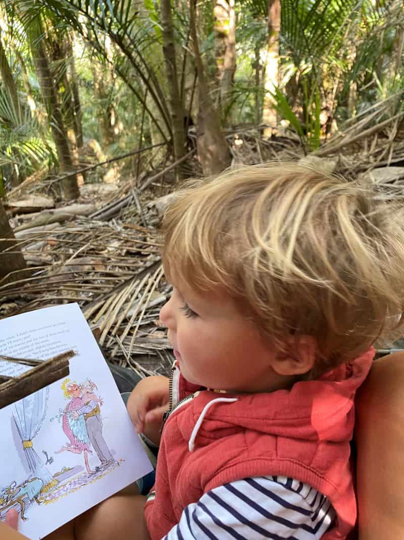 Young child reading outdoors in the bush