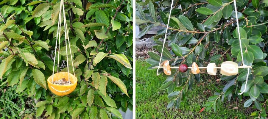 DIY Bird Feeders the Whole Family Can Make