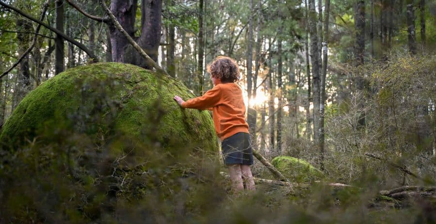 Whitecliffs Boulders, New Zealand - Credit Outdoor Kid